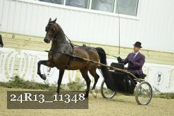 24R13_11348 thumbnail