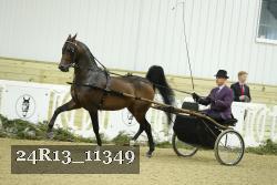 24R13_11349 thumbnail