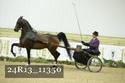 24R13_11350 thumbnail