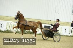 24R13_11351 thumbnail