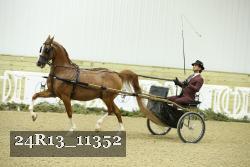24R13_11352 thumbnail