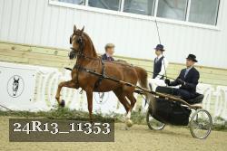 24R13_11353 thumbnail