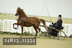 24R13_11354 thumbnail