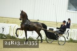 24R13_11355 thumbnail