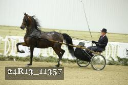24R13_11357 thumbnail