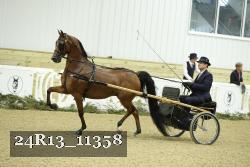 24R13_11358 thumbnail