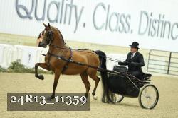 24R13_11359 thumbnail
