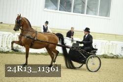 24R13_11361 thumbnail