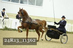 24R13_11362 thumbnail