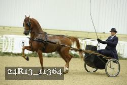 24R13_11364 thumbnail