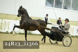 24R13_11366 thumbnail