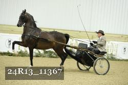 24R13_11367 thumbnail