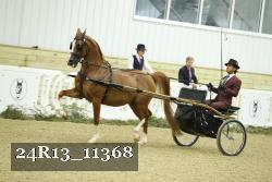 24R13_11368 thumbnail
