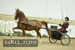 24R13_11369 thumbnail