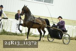 24R13_11372 thumbnail