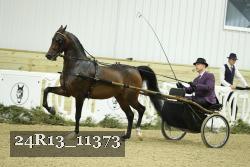 24R13_11373 thumbnail
