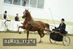 24R13_11374 thumbnail