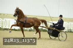 24R13_11375 thumbnail