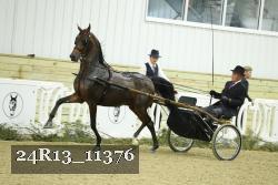 24R13_11376 thumbnail