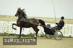 24R13_11378 thumbnail