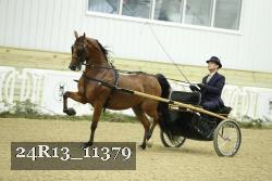 24R13_11379 thumbnail