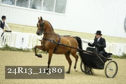 24R13_11380 thumbnail