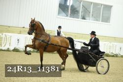 24R13_11381 thumbnail