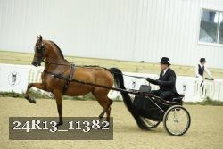 24R13_11382 thumbnail