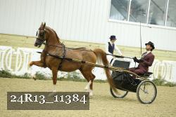 24R13_11384 thumbnail