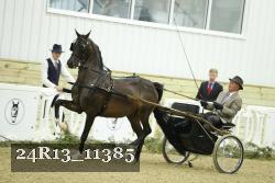 24R13_11385 thumbnail