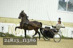 24R13_11386 thumbnail