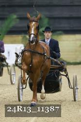 24R13_11387 thumbnail