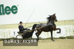 24R13_11388 thumbnail