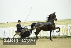24R13_11389 thumbnail