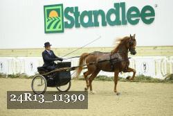 24R13_11390 thumbnail