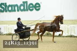 24R13_11391 thumbnail