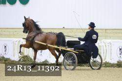 24R13_11392 thumbnail