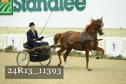 24R13_11393 thumbnail