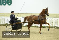 24R13_11394 thumbnail