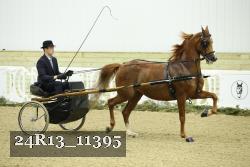 24R13_11395 thumbnail