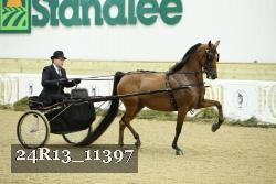 24R13_11397 thumbnail