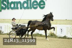 24R13_11399 thumbnail