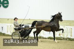 24R13_11400 thumbnail