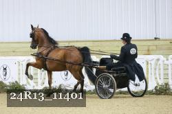24R13_11401 thumbnail