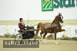 24R13_11402 thumbnail