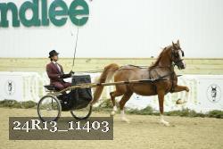 24R13_11403 thumbnail