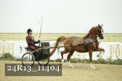 24R13_11404 thumbnail