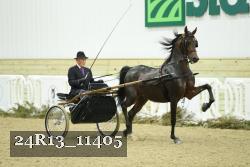 24R13_11405 thumbnail
