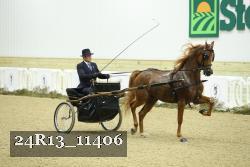 24R13_11406 thumbnail