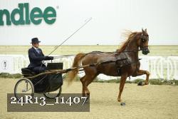 24R13_11407 thumbnail